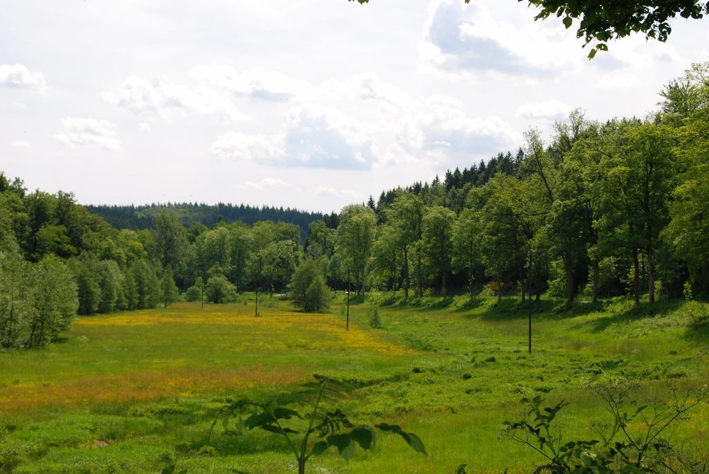 מלון Friesenhagen Wildenburger Hof מראה חיצוני תמונה